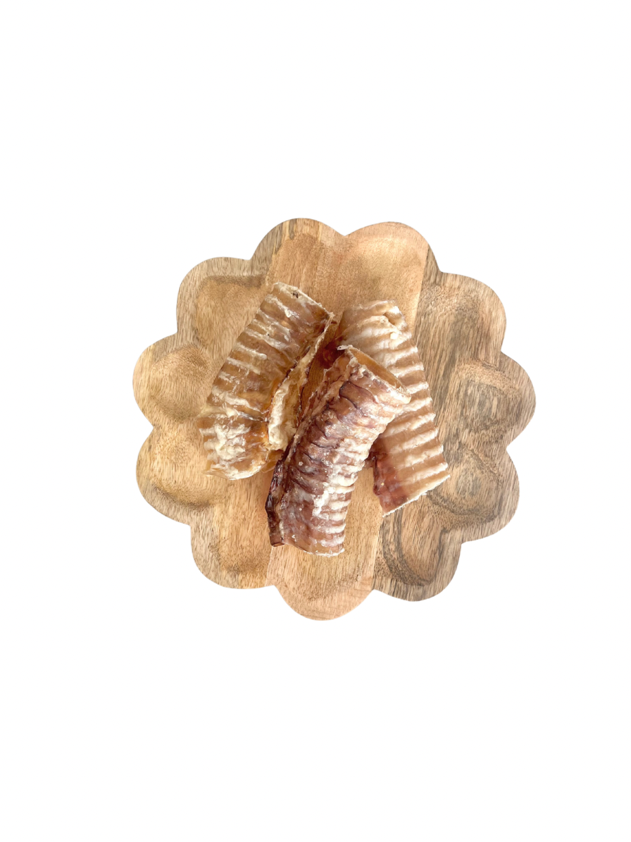 Trachée de bœuf