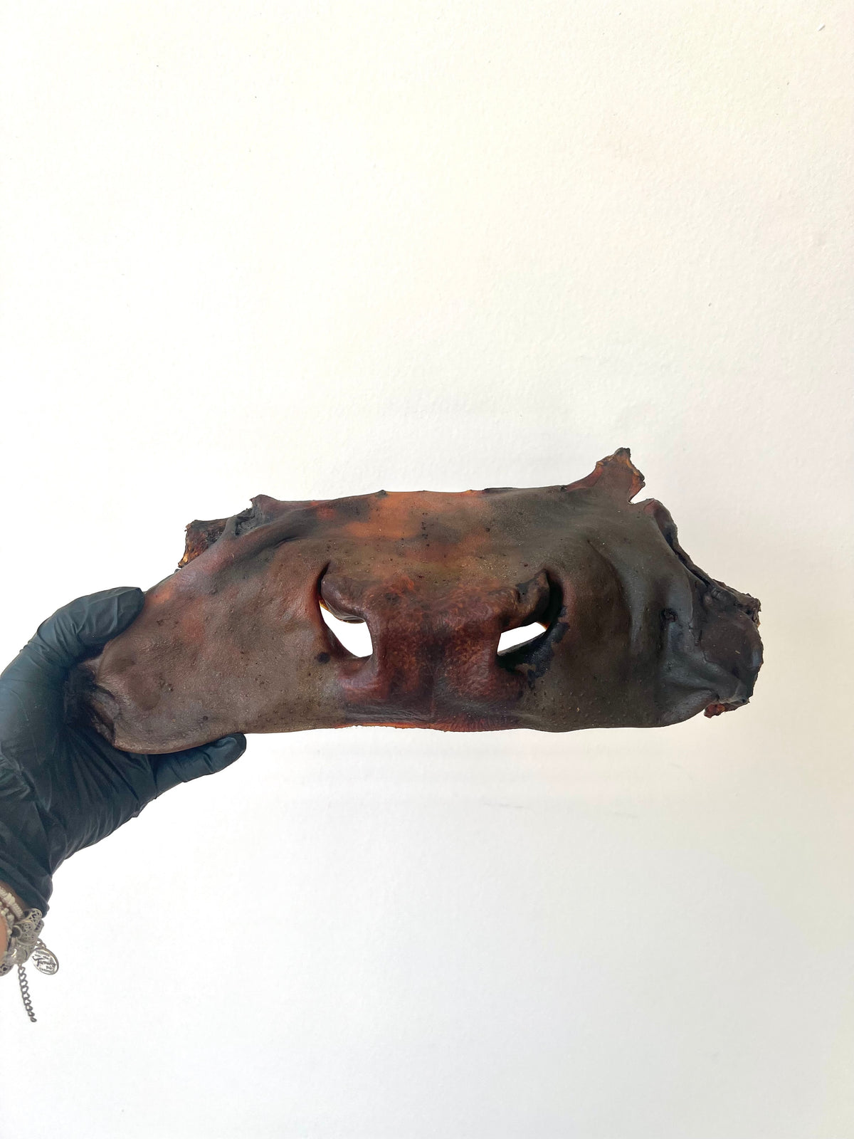 Museau de bœuf XL