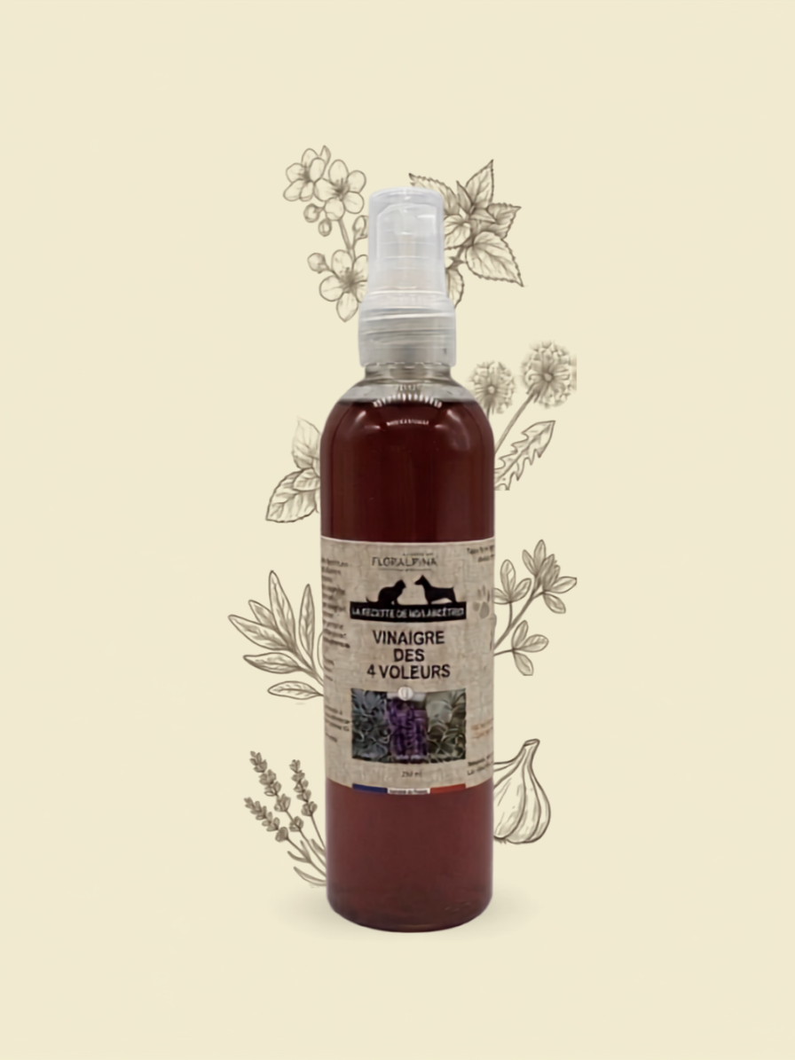 Vinaigre des 4 voleurs